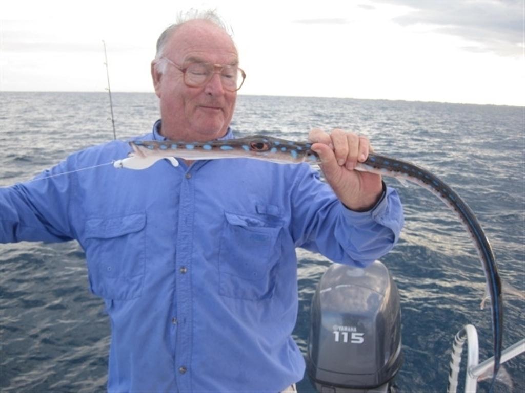 Mavi benekli Cornetfish