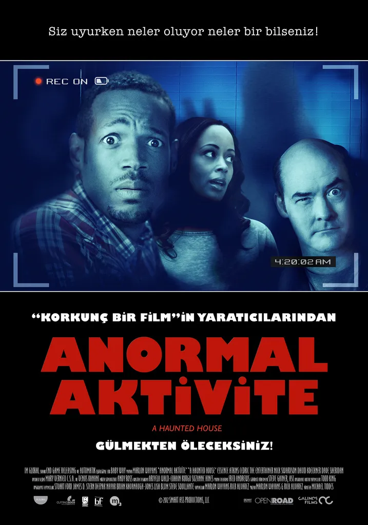 Anormal Aktivite